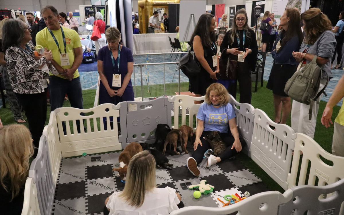 WCI 2026 Puppy and Kitten Cuddle Zone