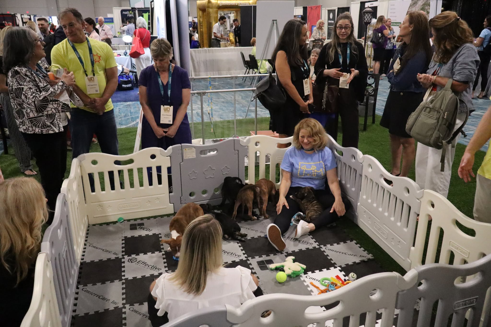 WCI 2026 Puppy and Kitten Cuddle Zone